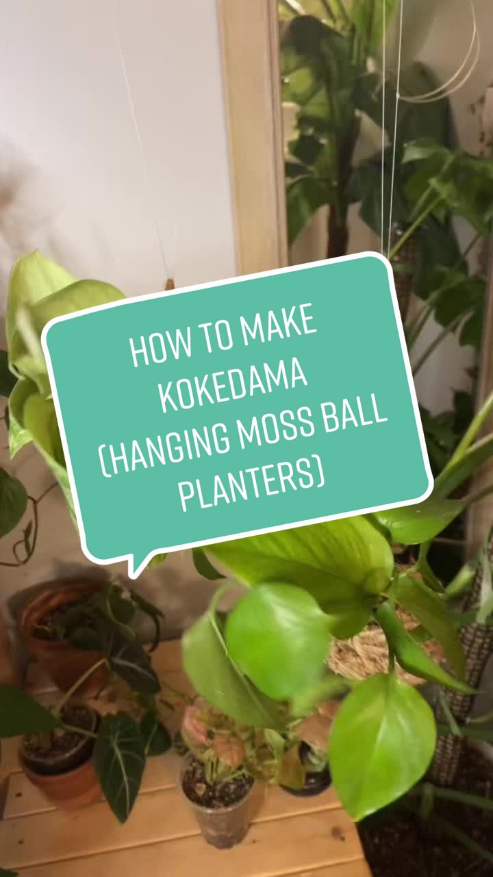@plants 🌿