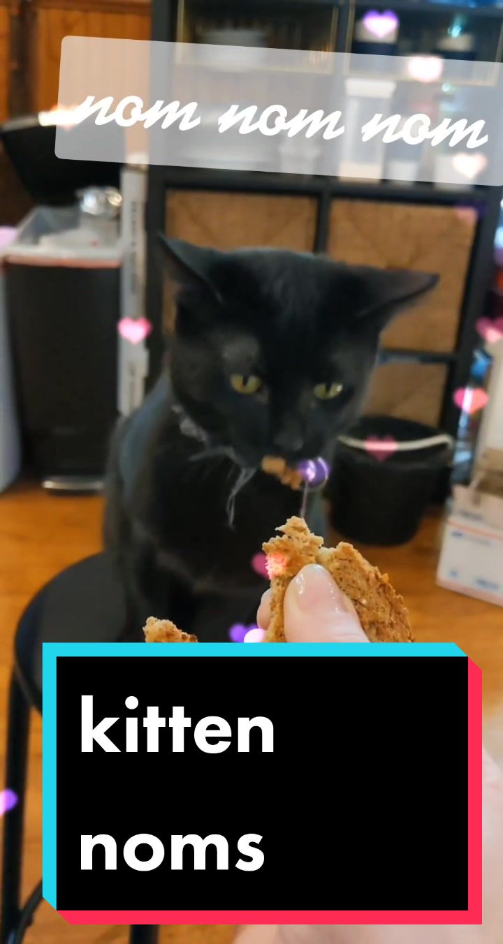 @Kitty Bouhktin