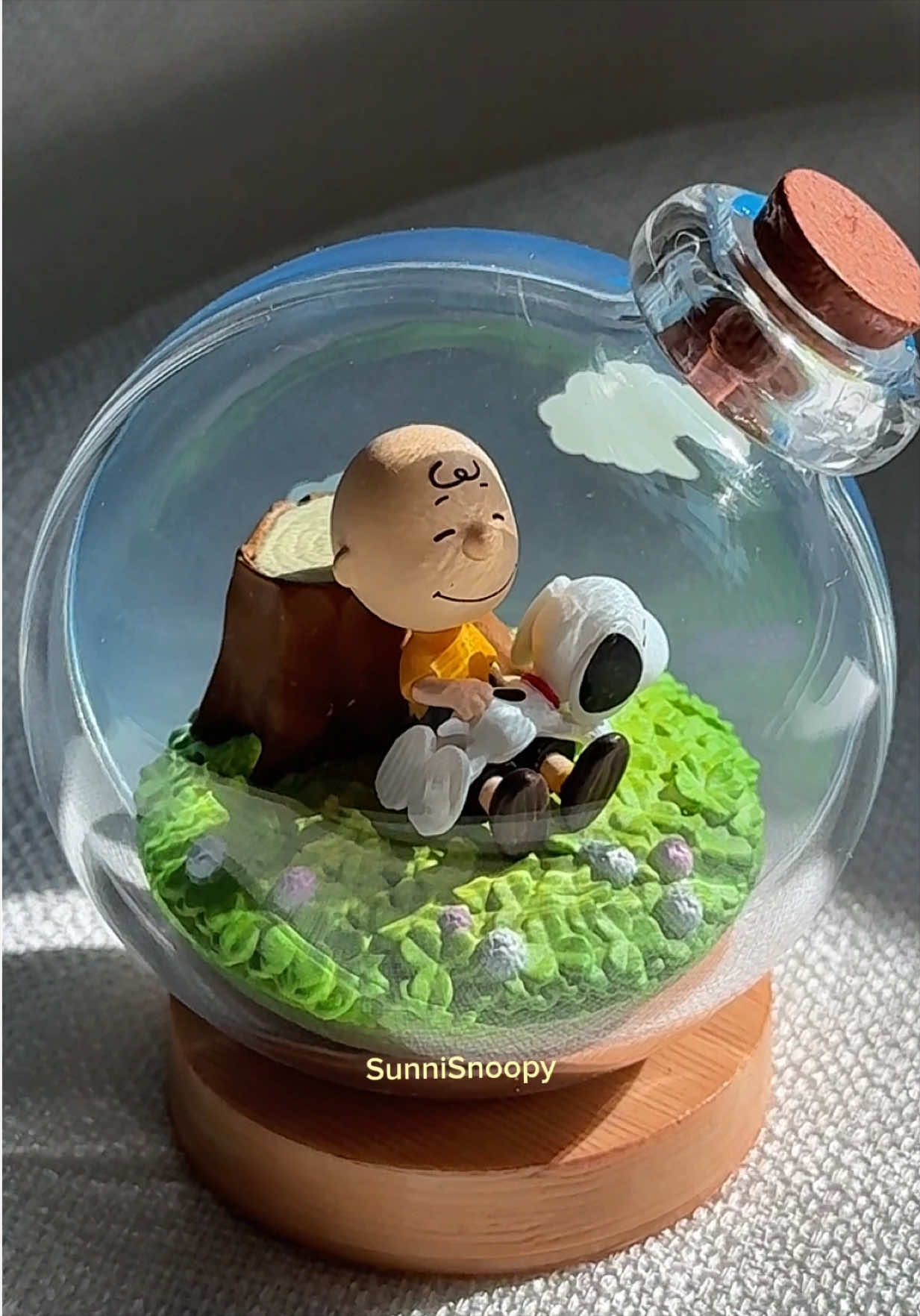 @SunniSnoopy | PEANUTS