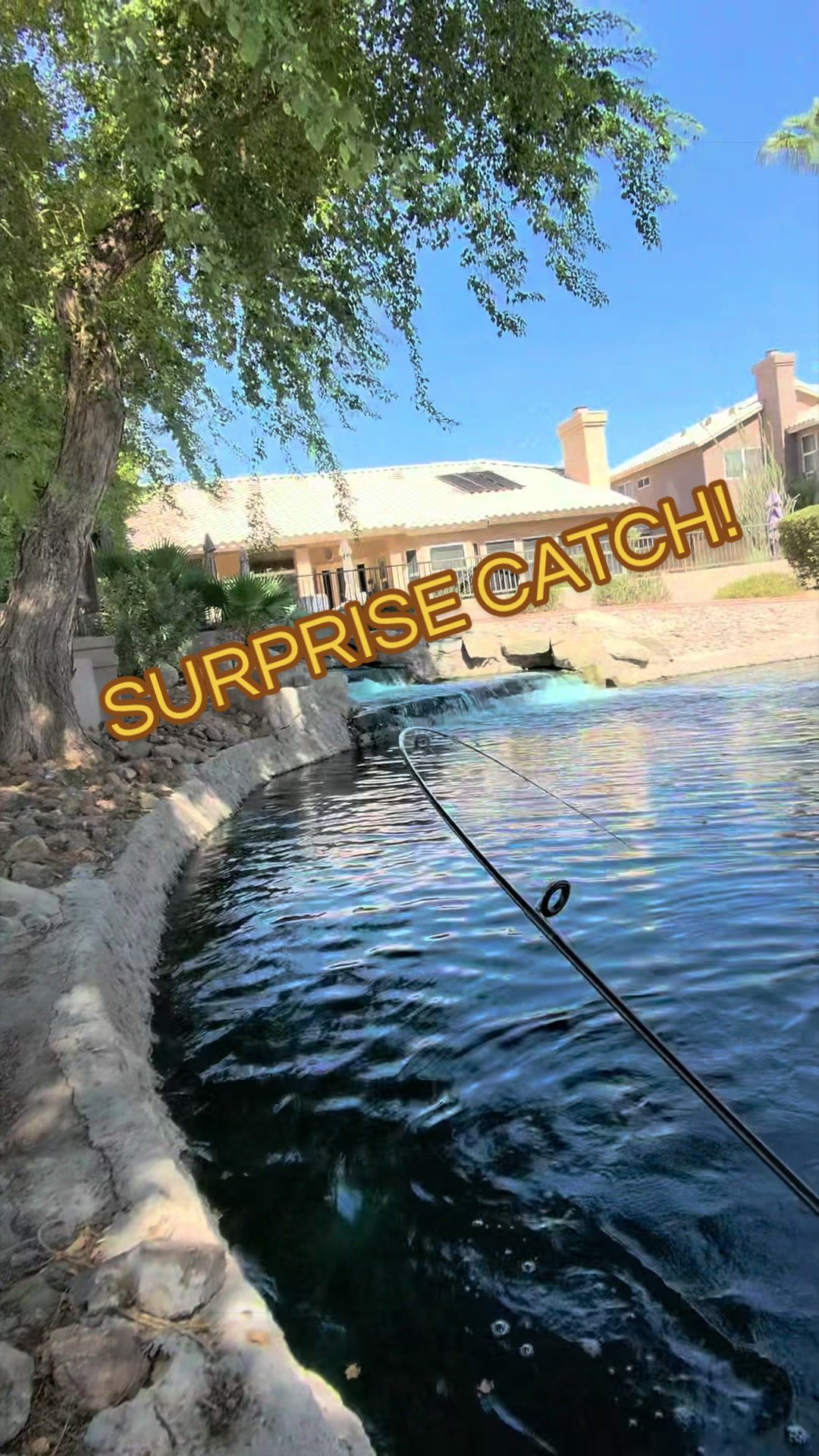 @Luu Nguyen Fishing