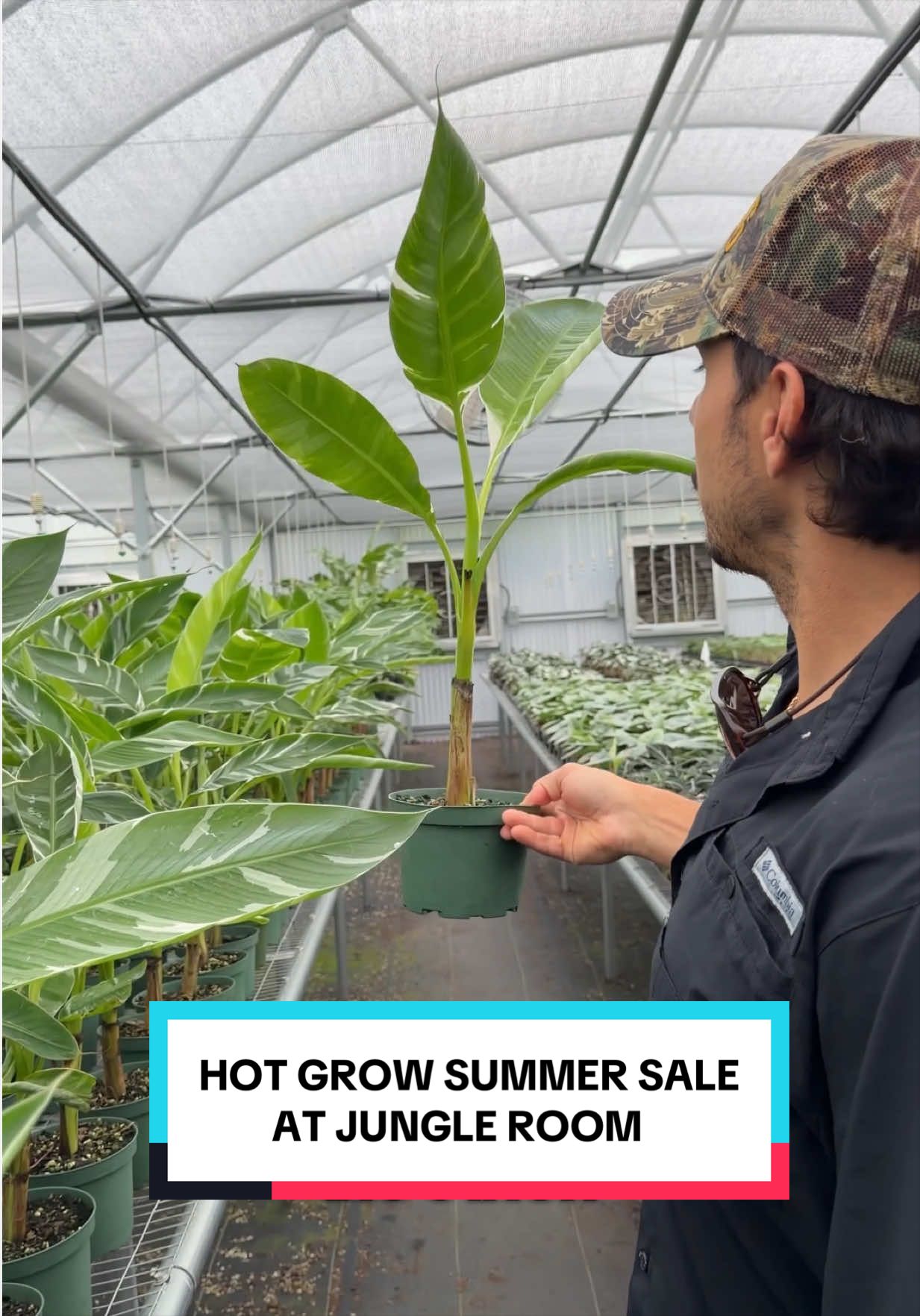 @BWH Plant Co