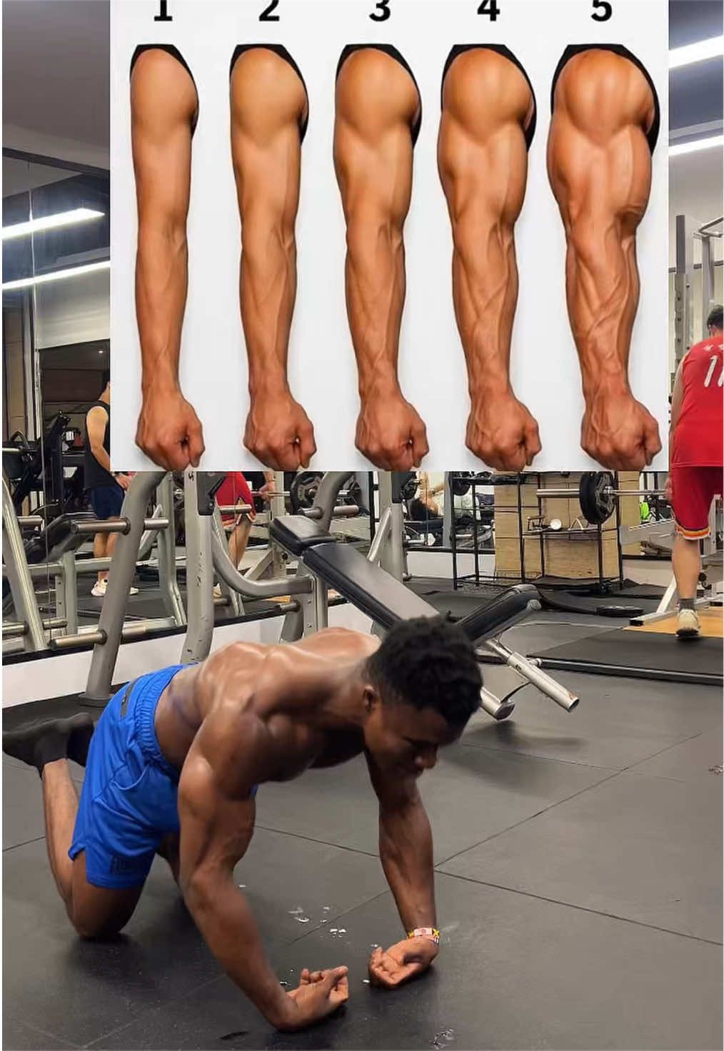 @FITNESS BEASTTRA