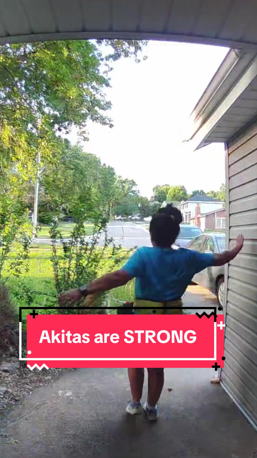 @Akita Brothers