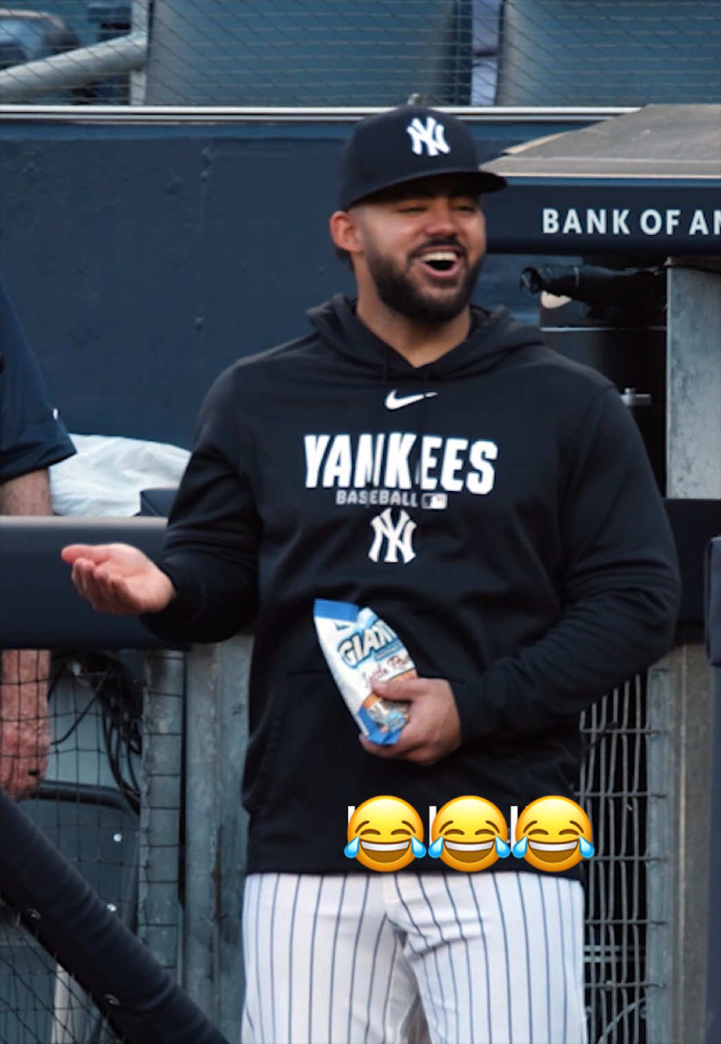 @Yankees