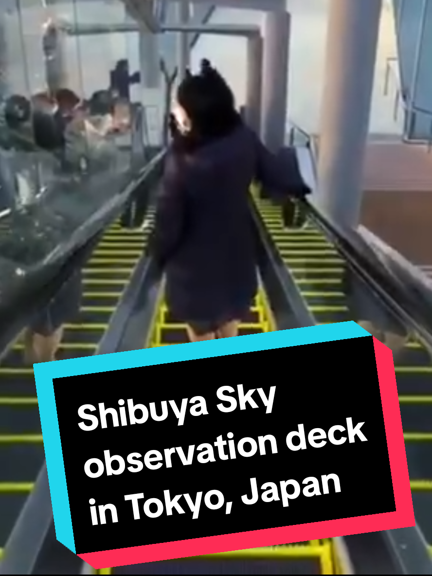 @🍿The Shark Decoy🍿
