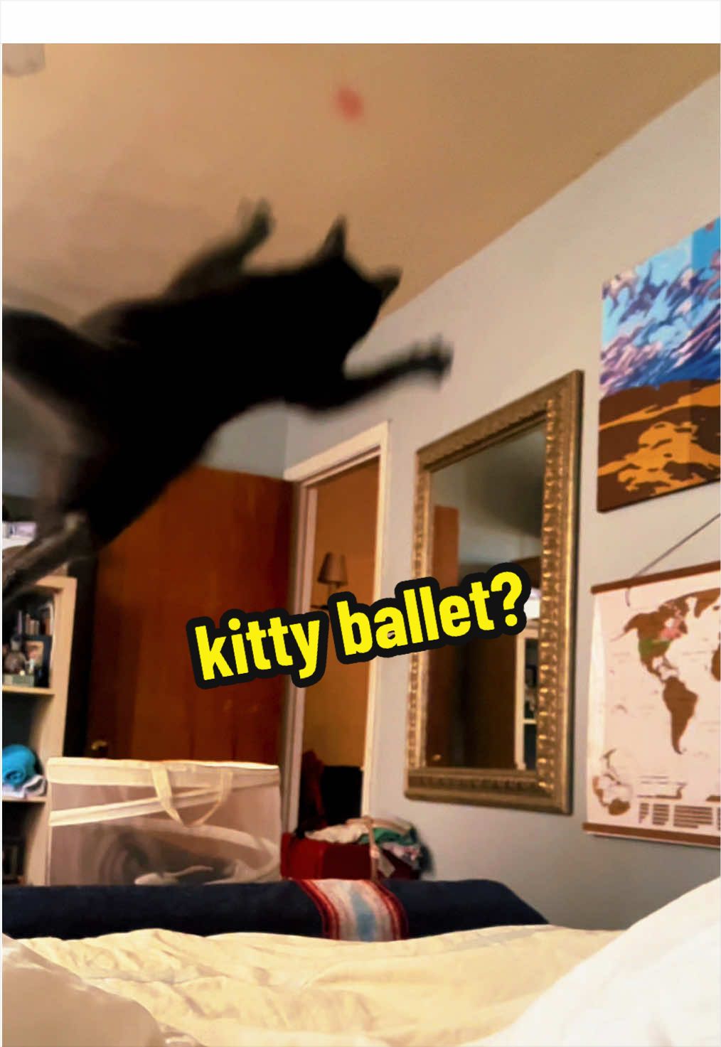 @NermalTCat