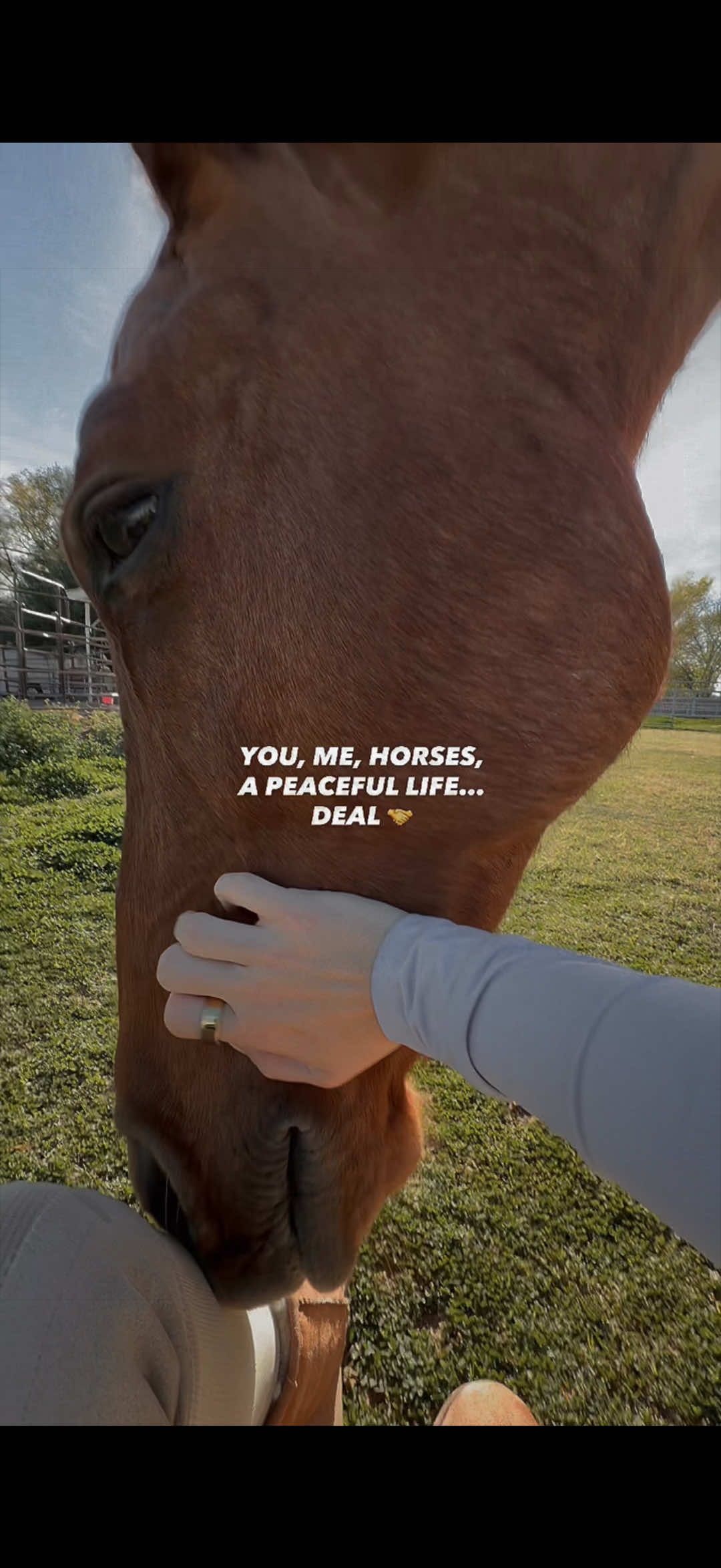 @VictoriaLynnEquestrian