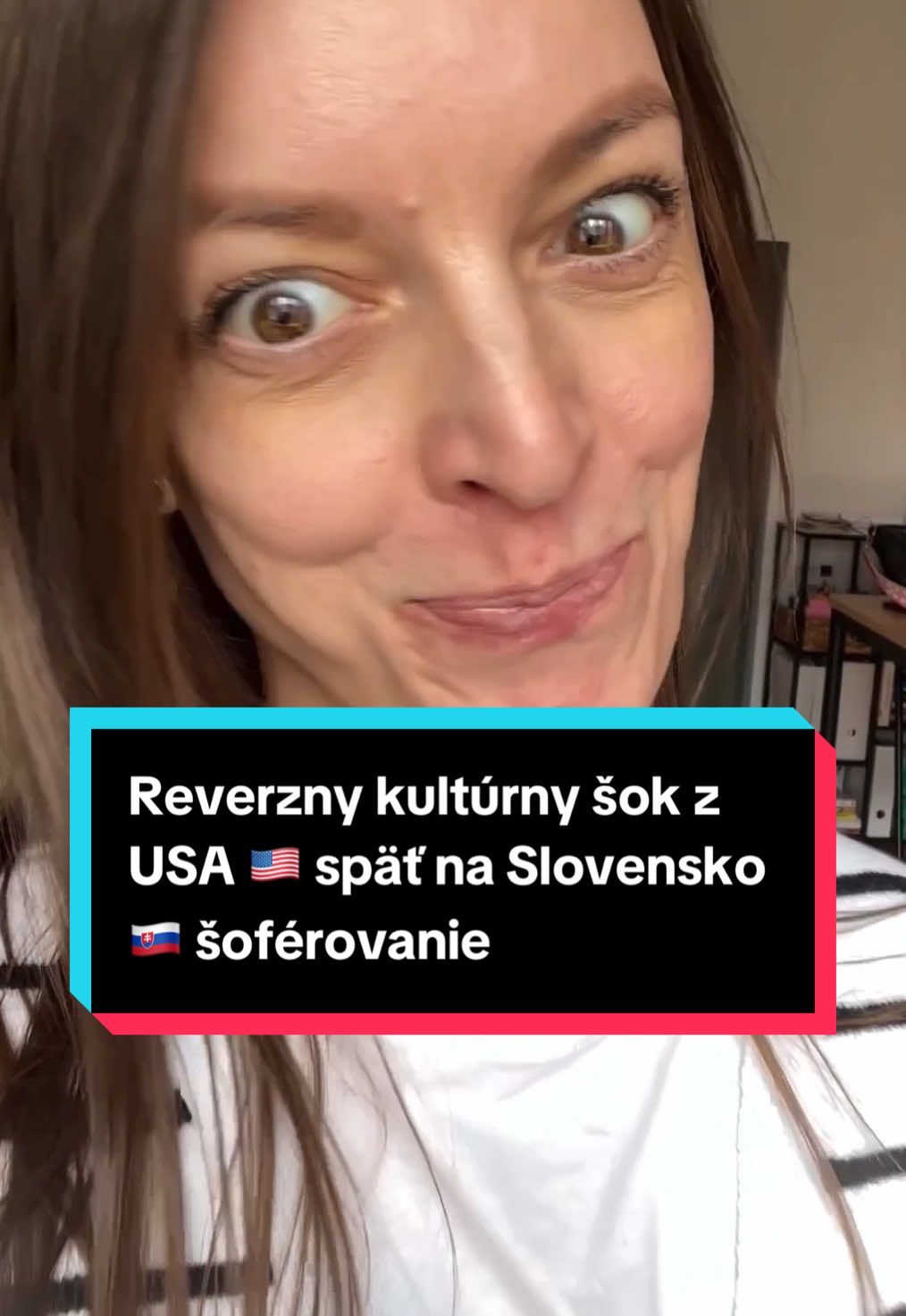 @slovenka v amerike