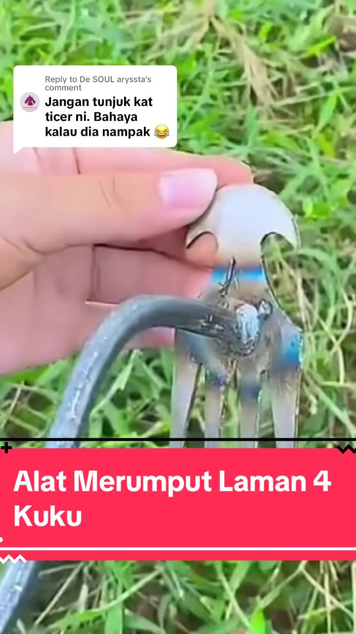 @Mie MHB