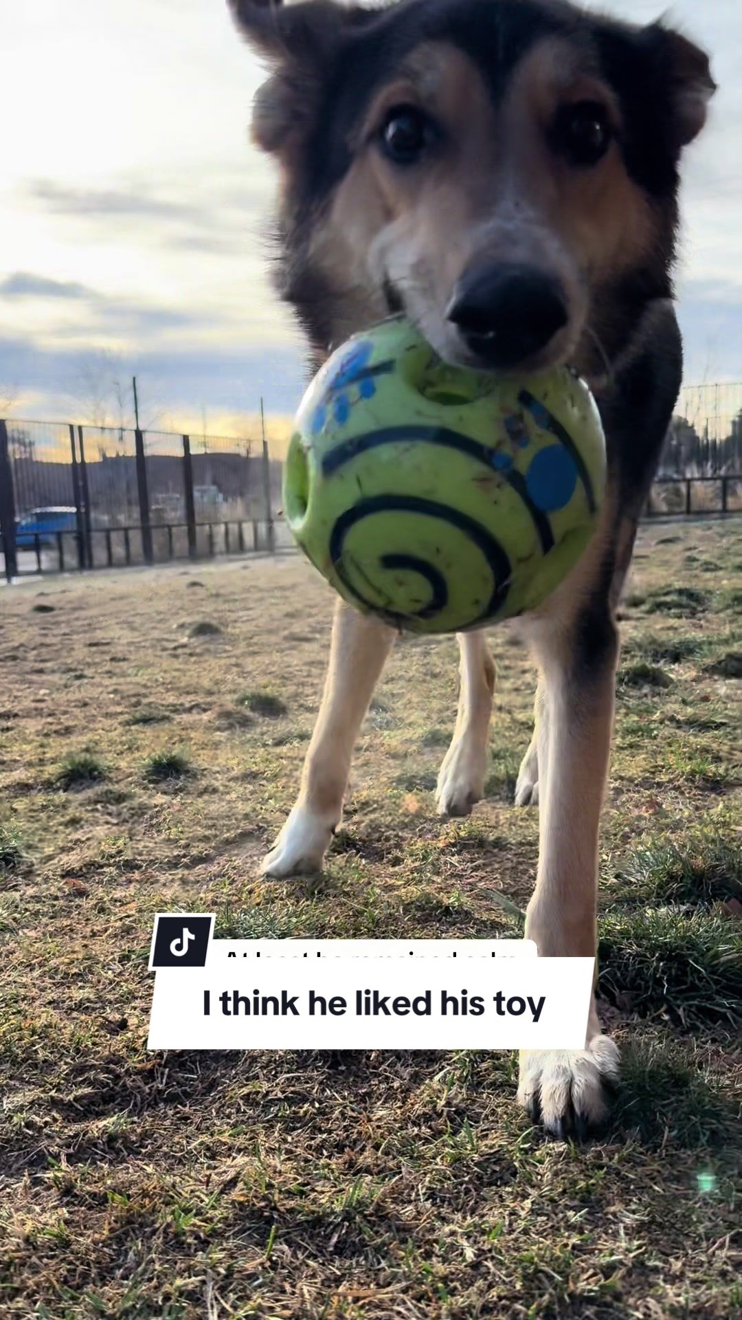 @Tails And Trails