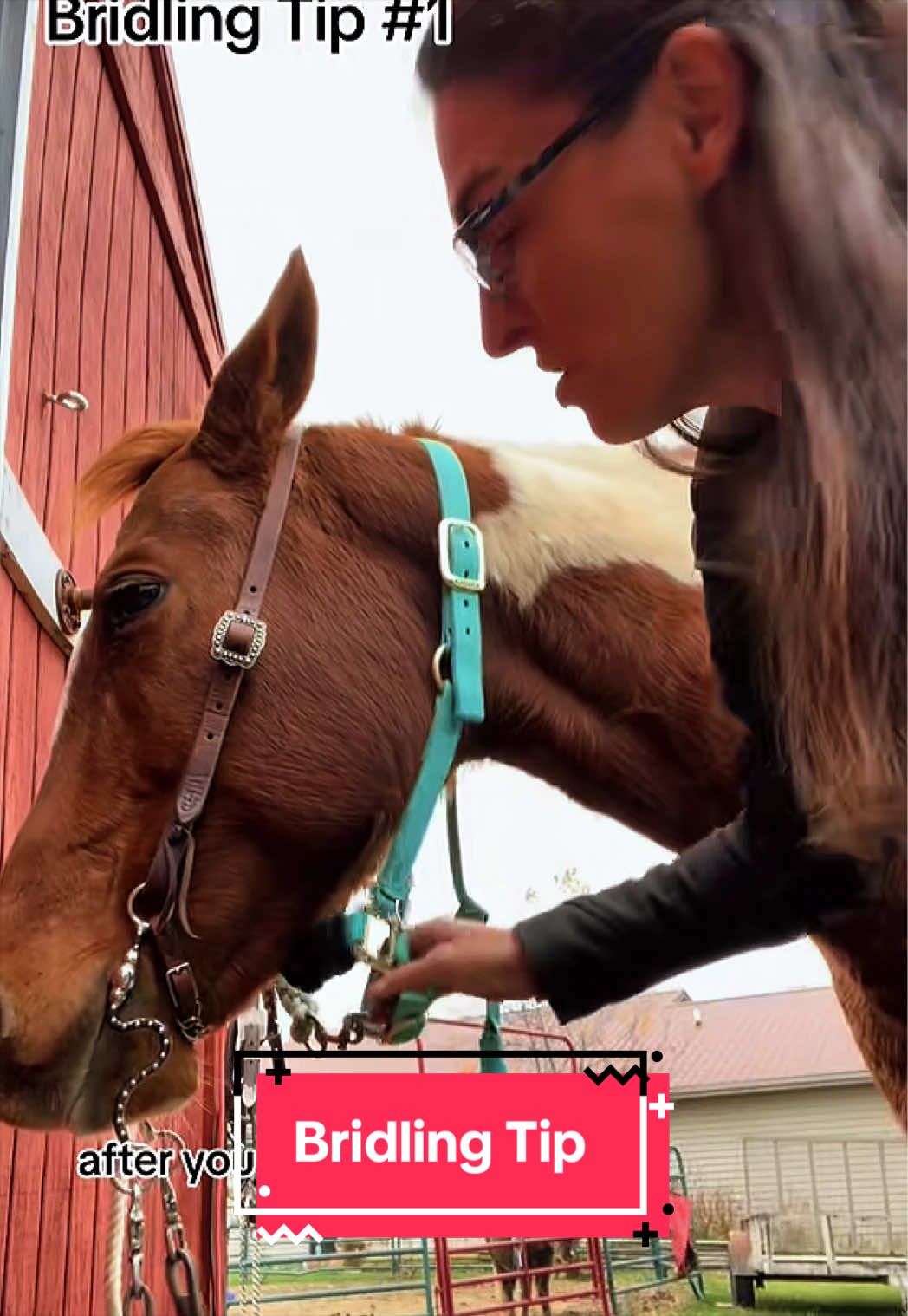 @yourhorseandponyleader