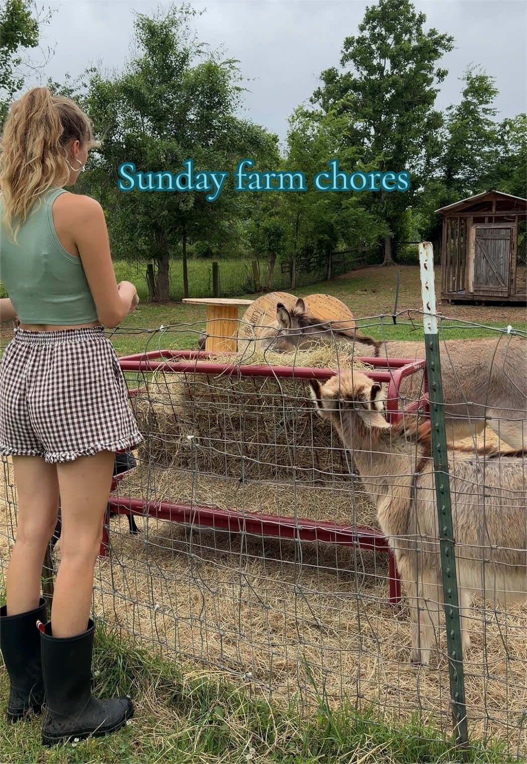 @meg&rsquo;s mini farm
