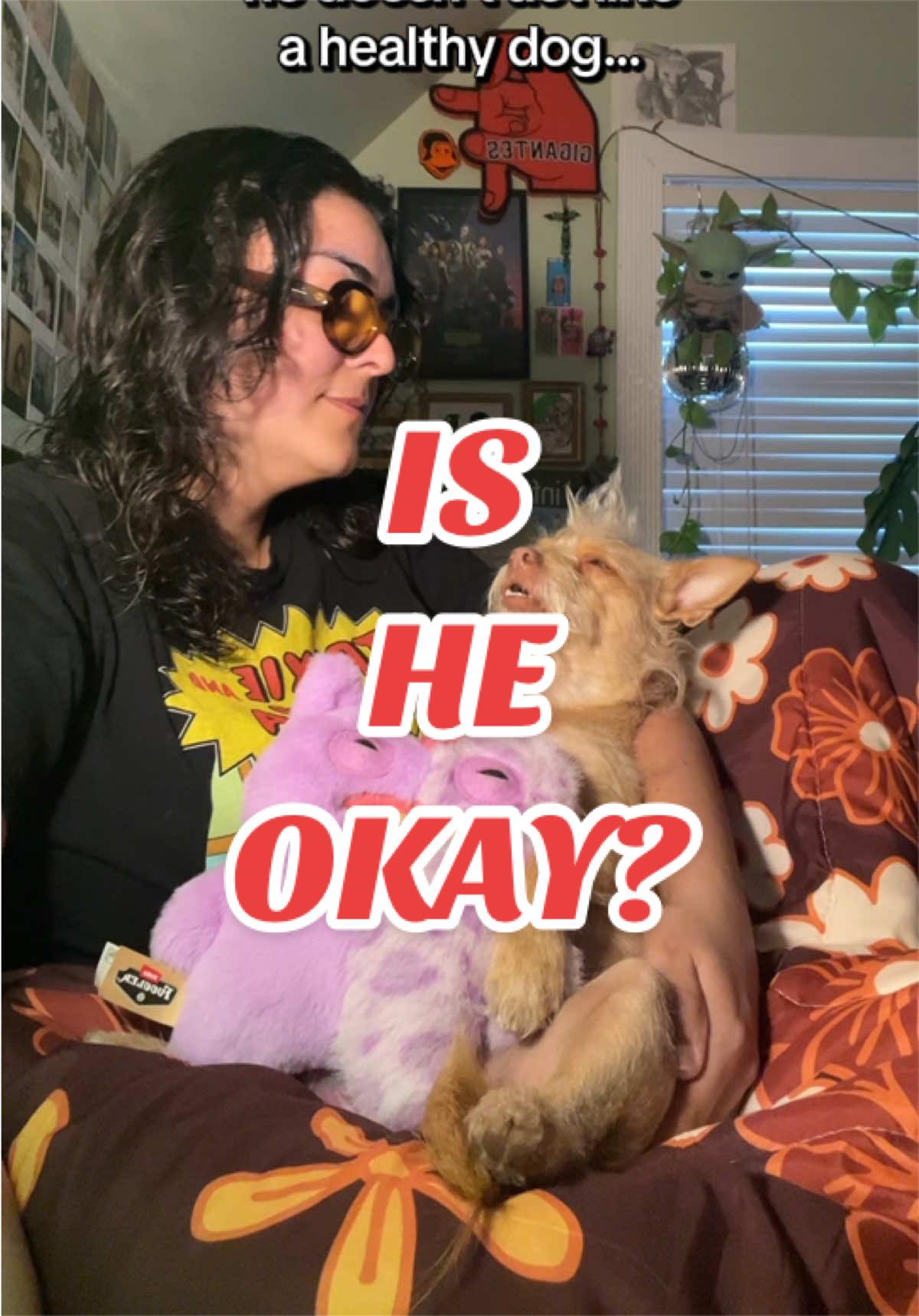 @What’s New Sunny-Doo?