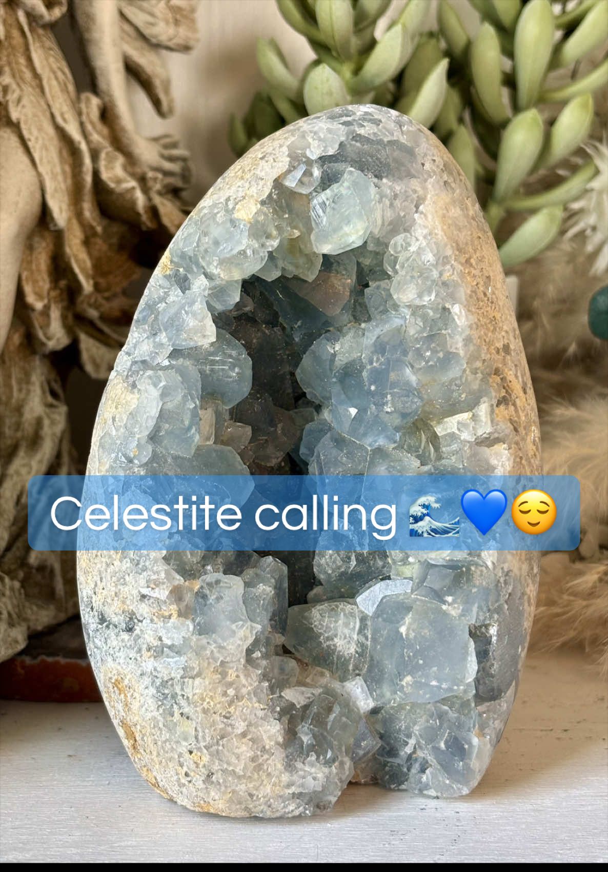 @E & L's Crystal Sanctuary