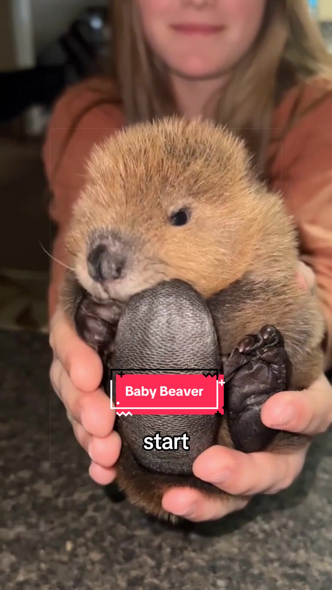 @Snugbarn