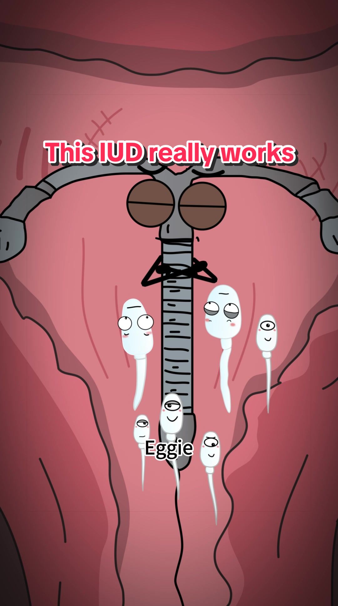 @Funny Animations