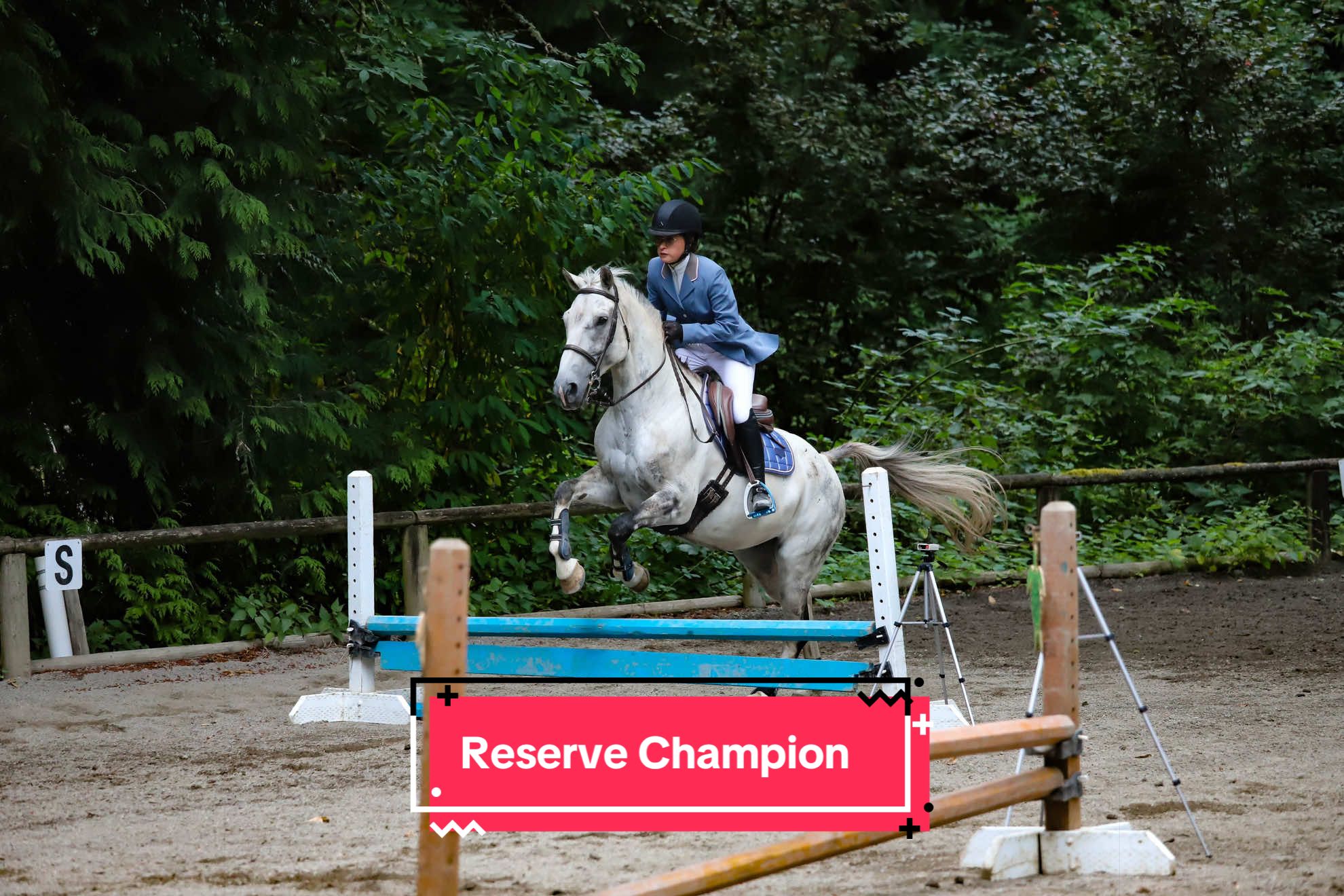 @BlueStarEquestrian