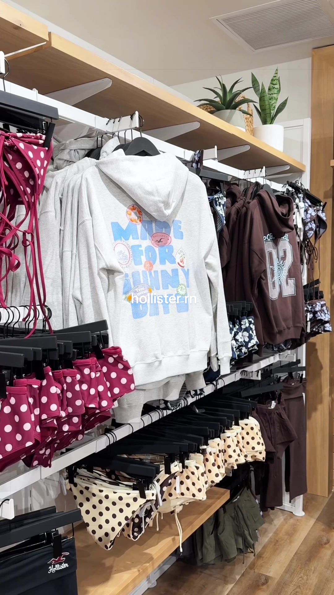 @hollister