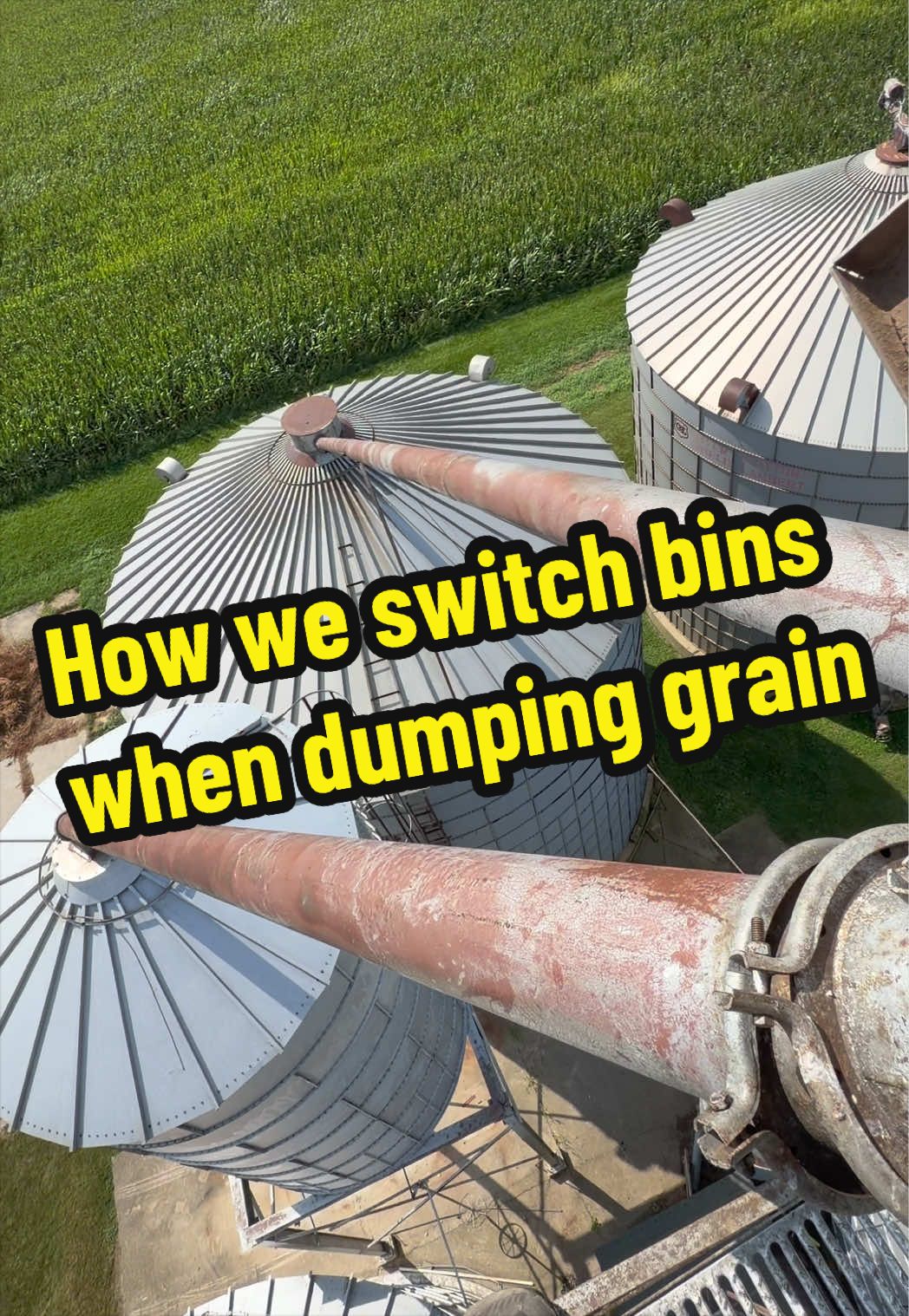 @Farmer Brando