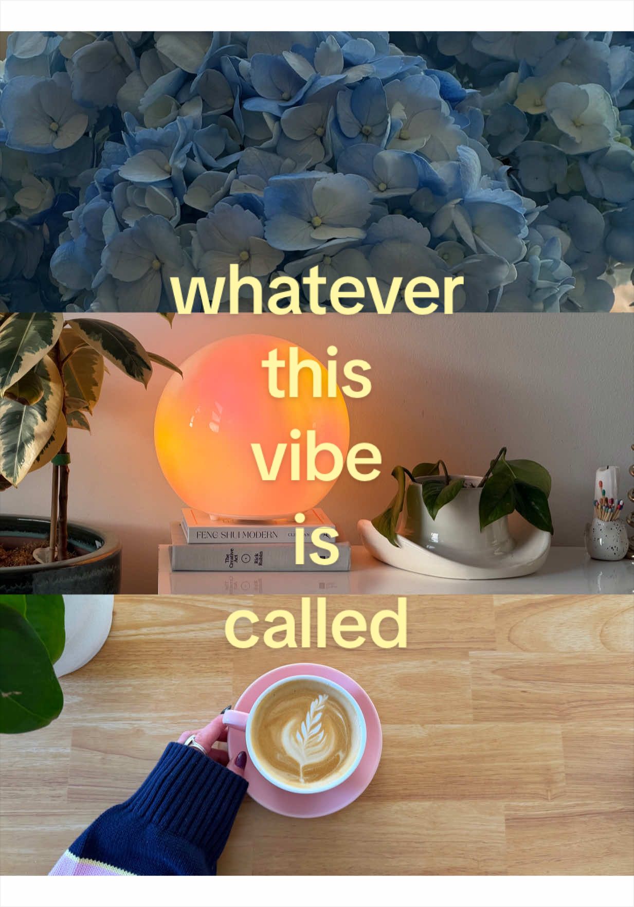 @✶ NIKI NASH ✶