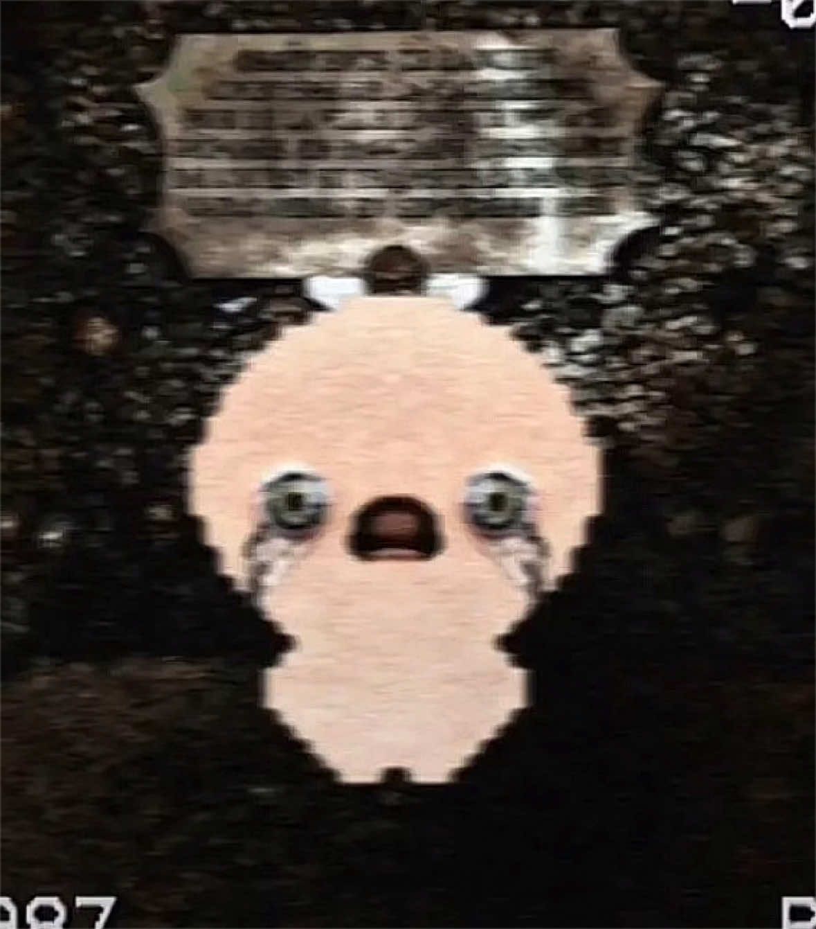 @🥶|†Mɾ.PɾσραɠσσɳҽɾႦσƚ†|🥶