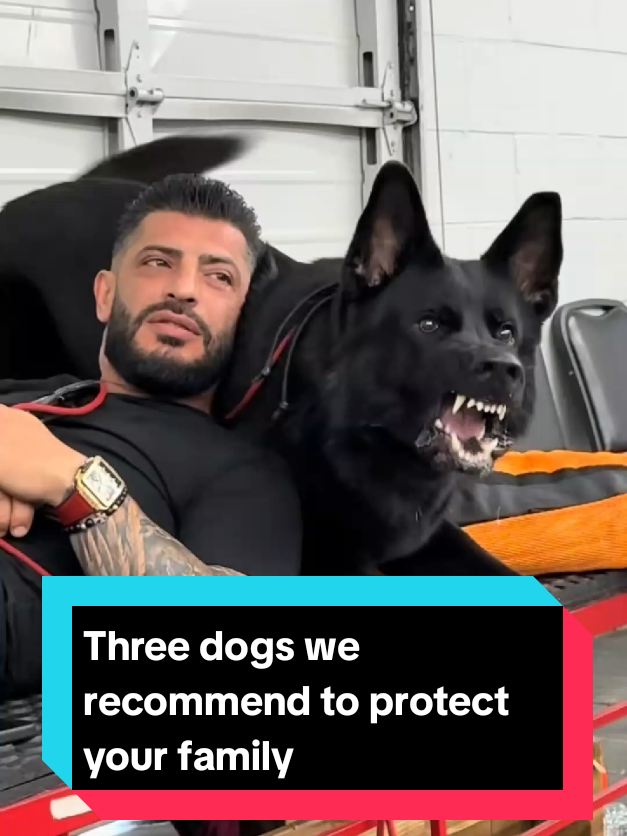 @The pet post