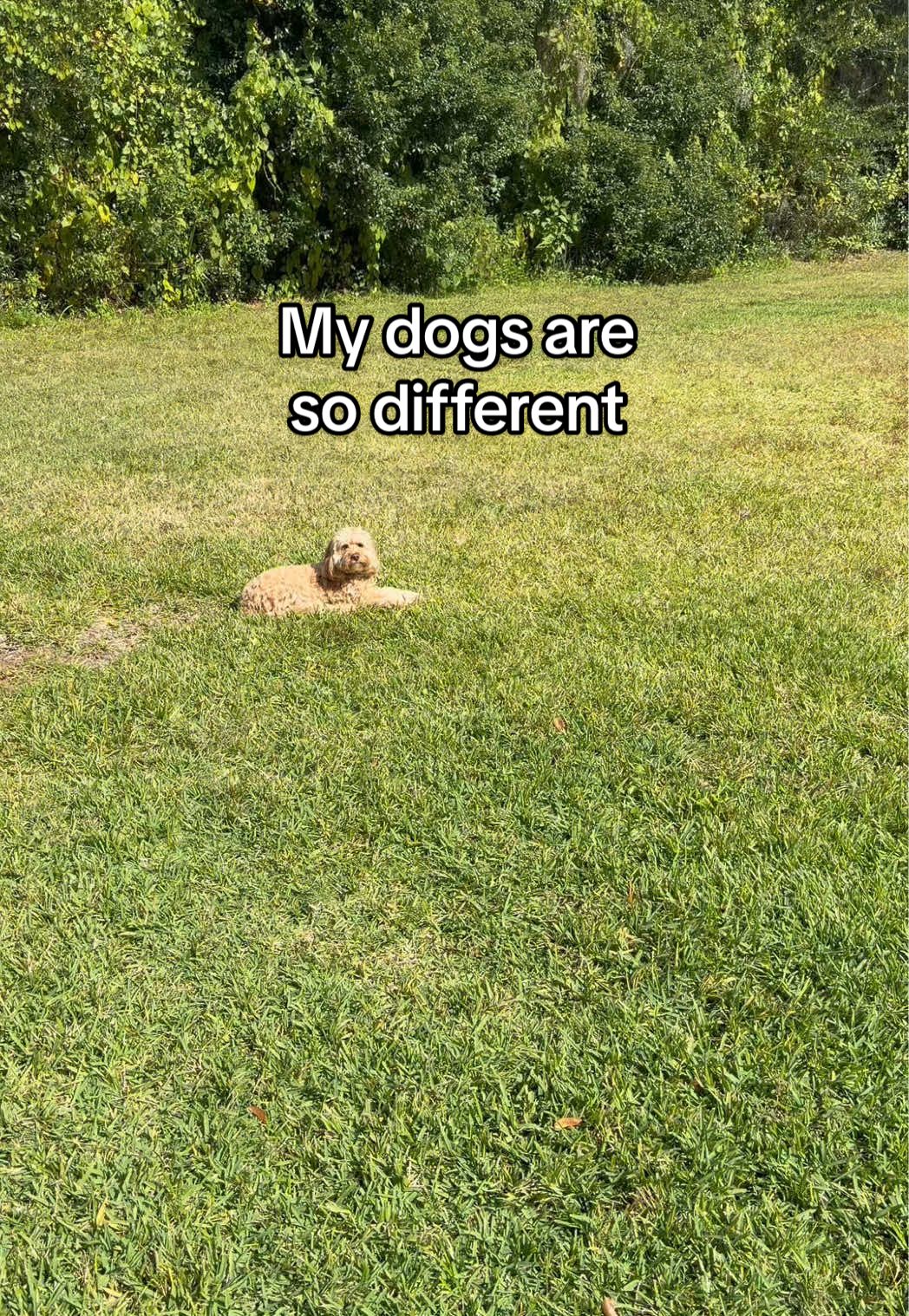 @Bailey & Coco