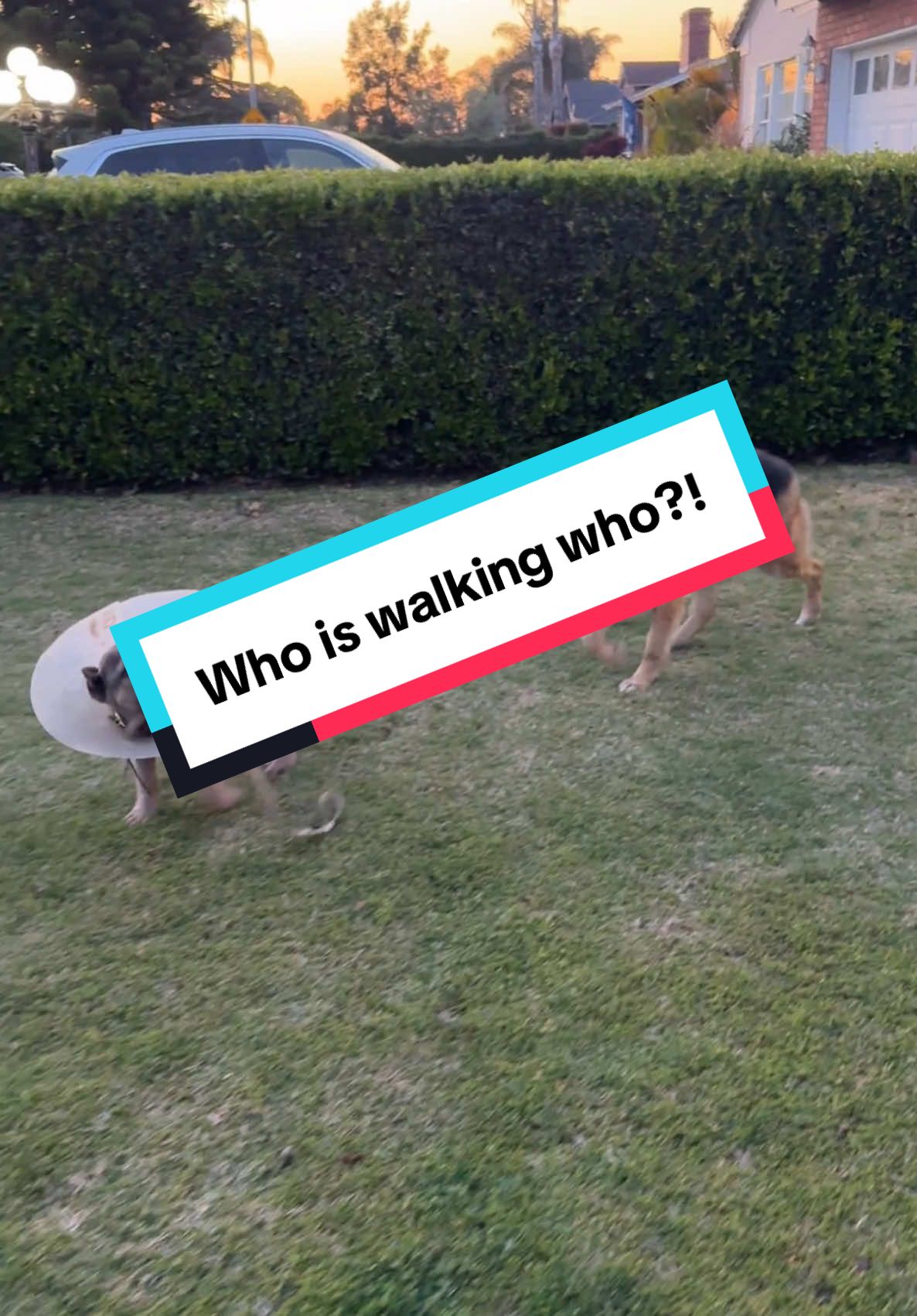 @ASH