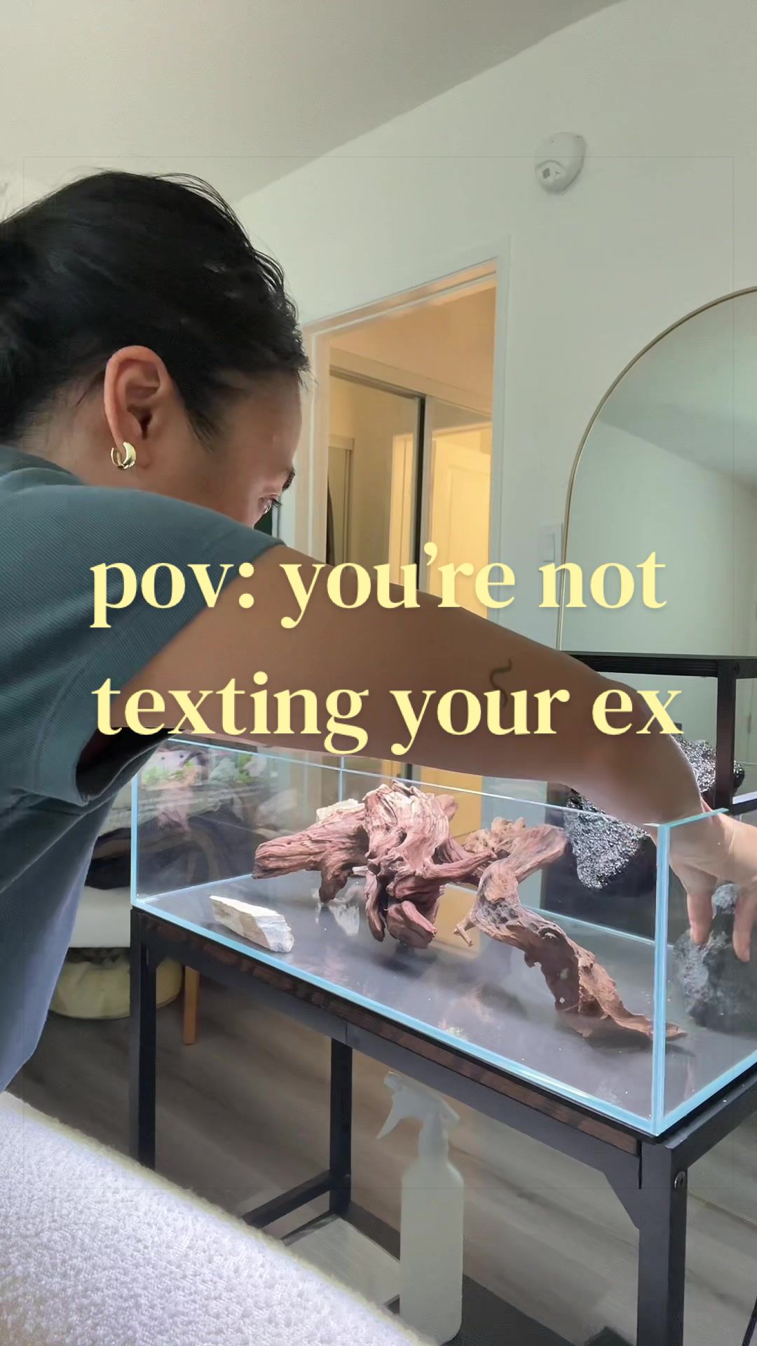 @chooks