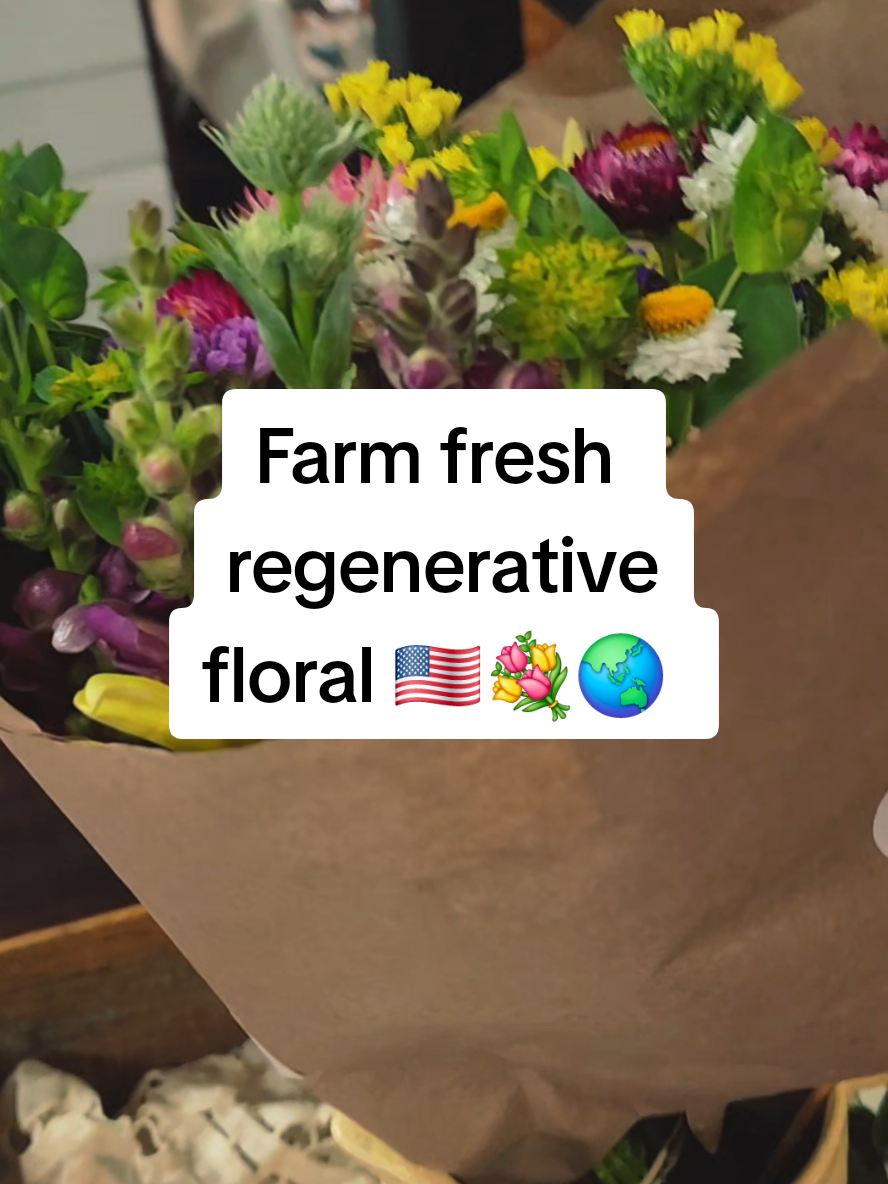 @Regenfarmhouseshop