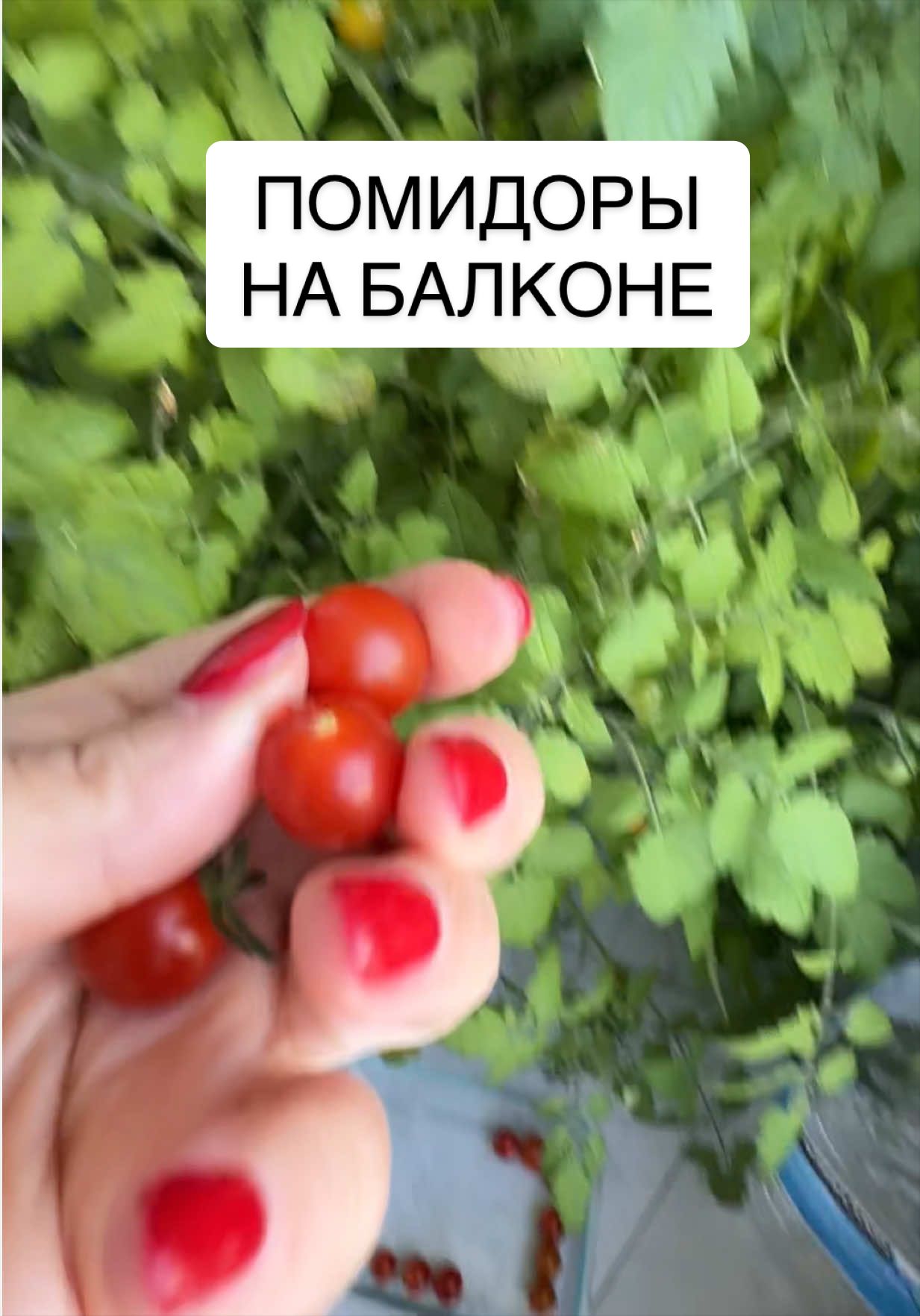 @ИРИНА И ЯСЯ