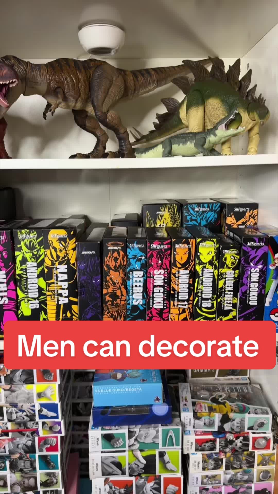 @ainsane_collector