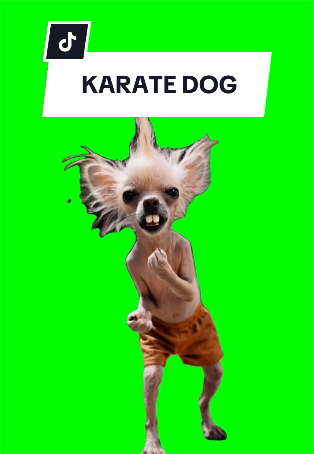 @SILLYBALOO