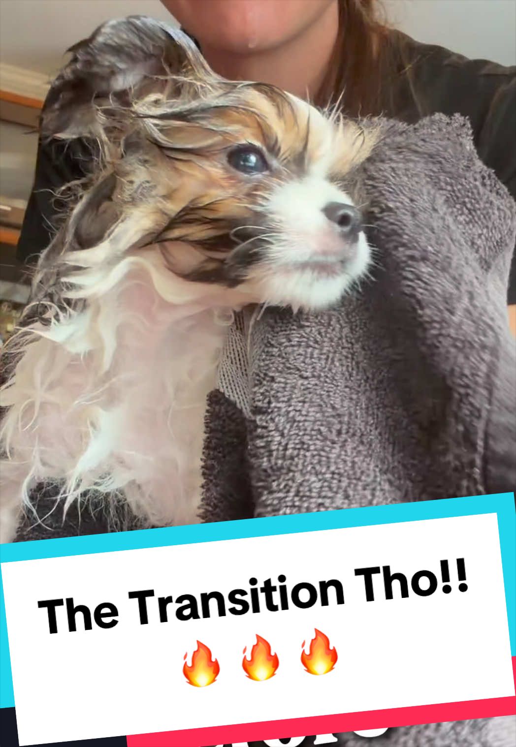 @blessedlittlepaw