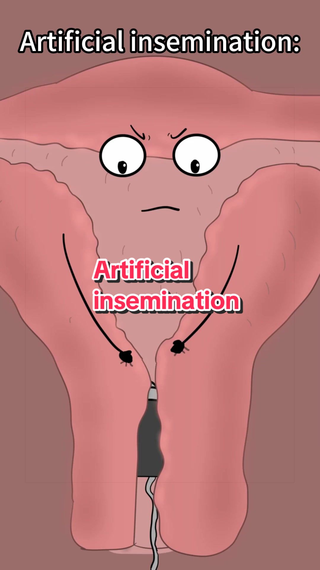 @Funny Animations