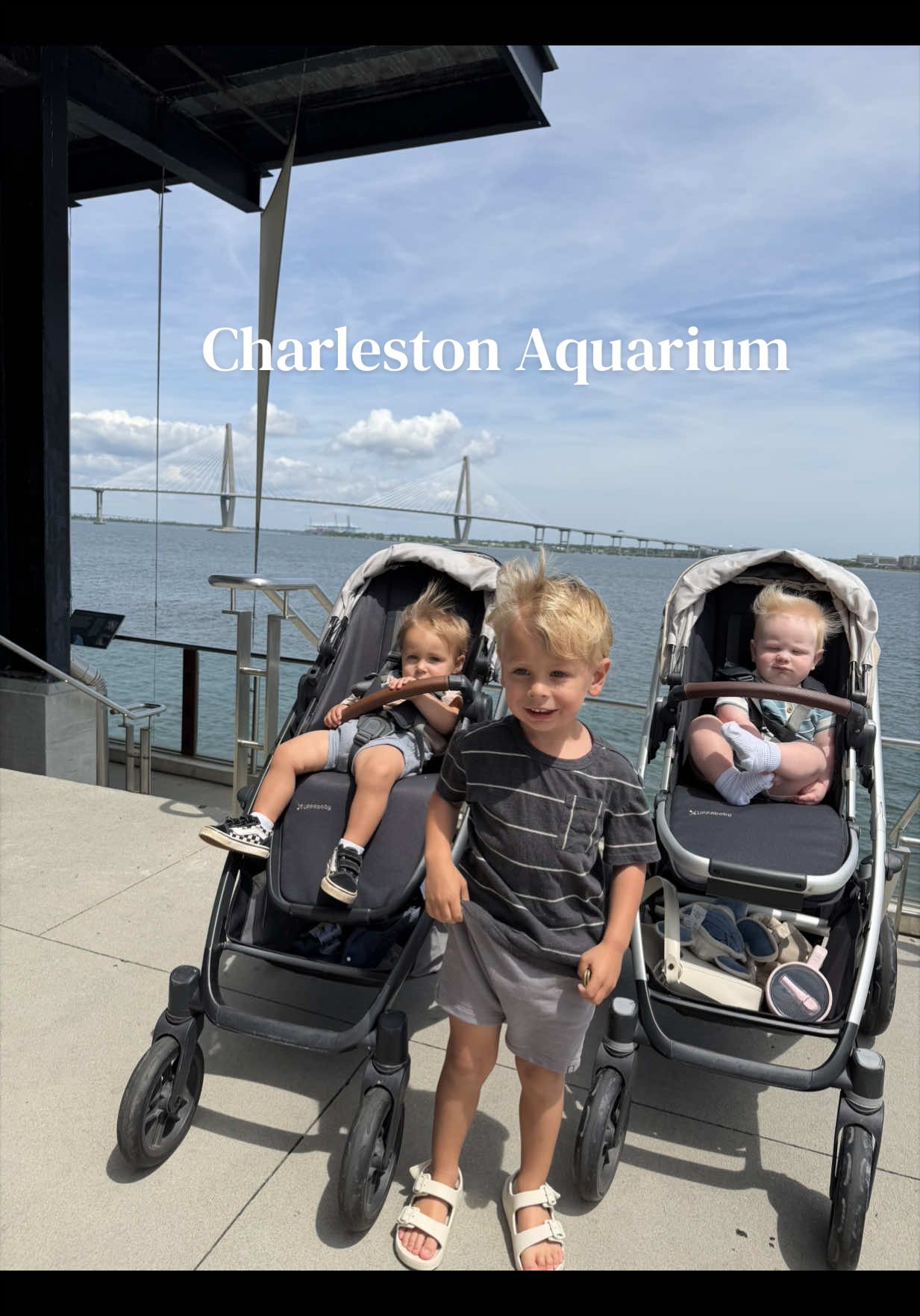 @Kylie Siegwald | SAHM