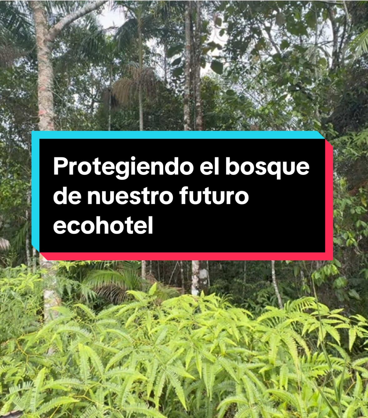 @Nicolas Marin