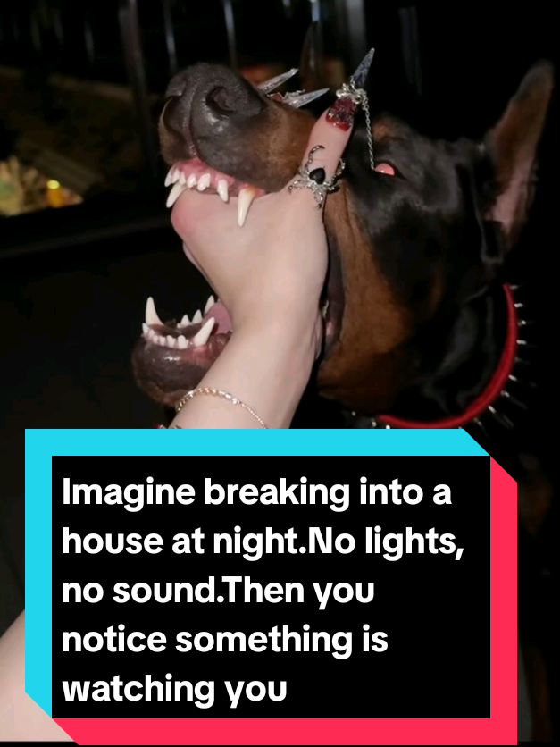 @The pet post