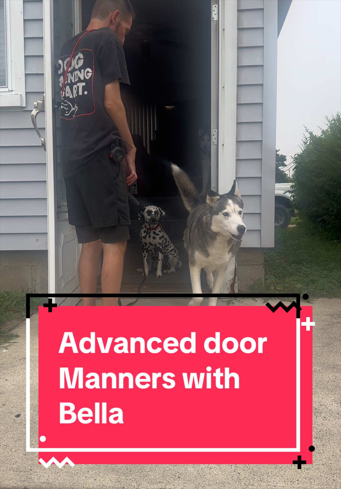 @Fully Unleashed K9 Training