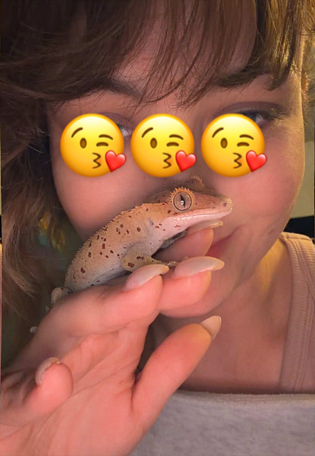 @indominusreps