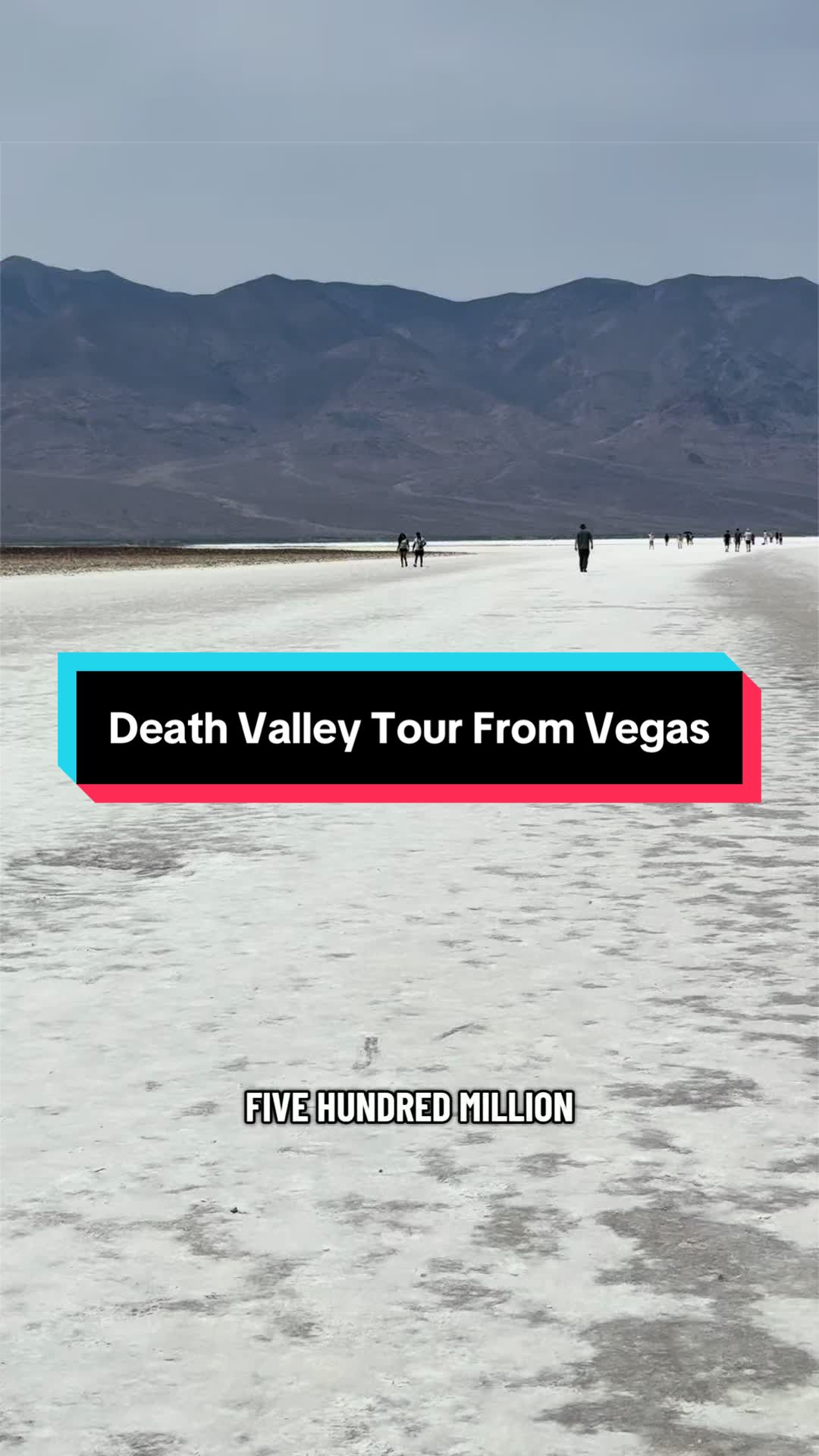 @VegasStarfish