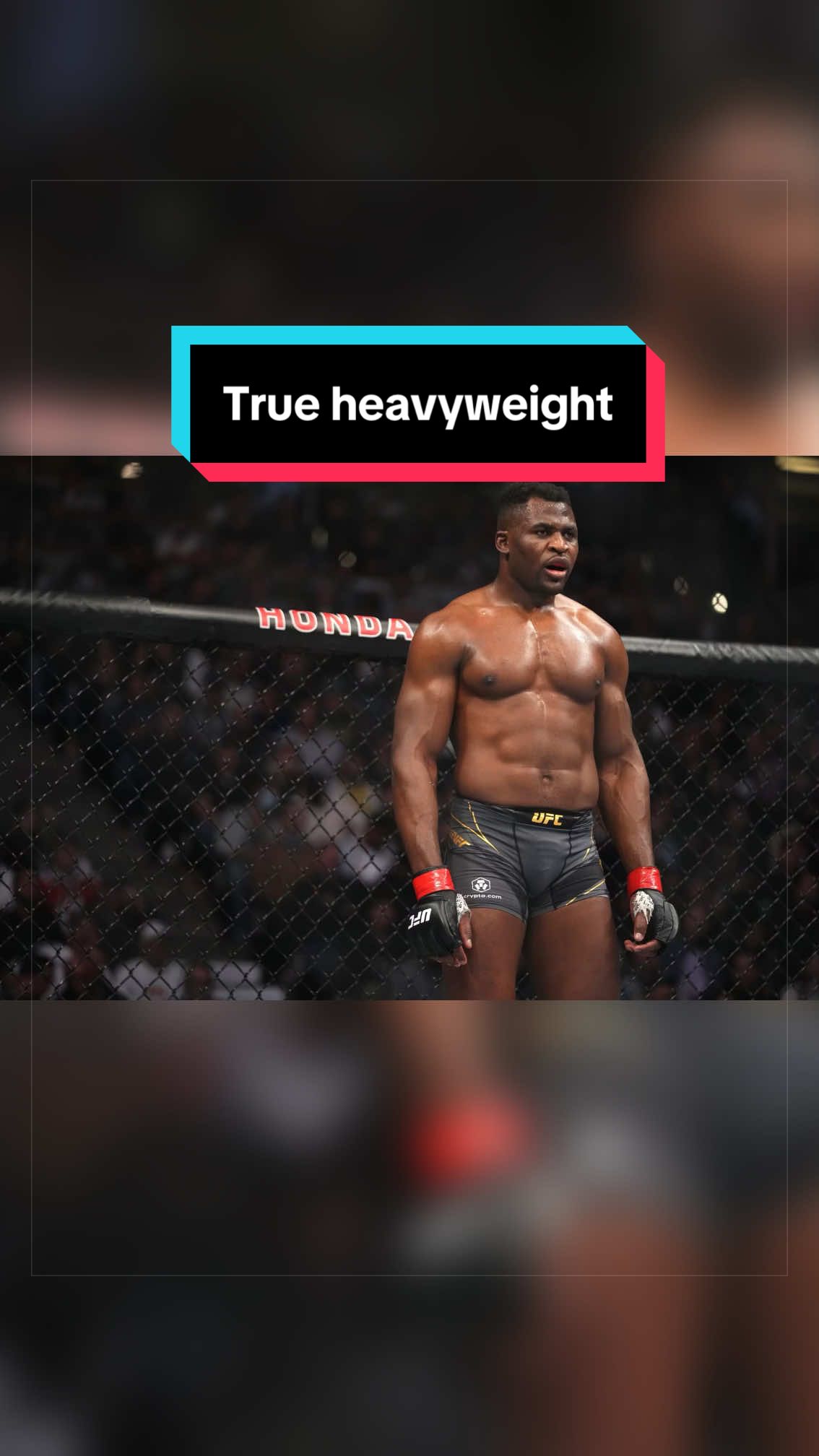 @MARAUDERMMA