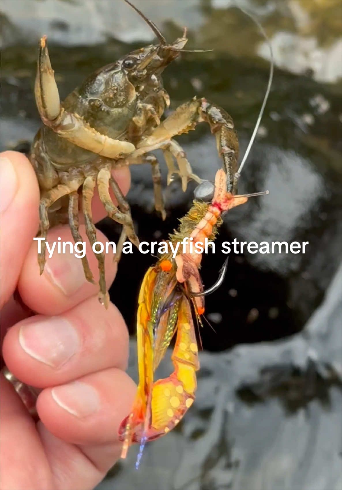 @FlyFishDelawhere