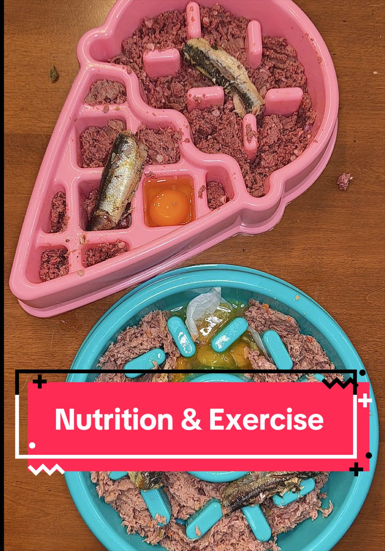 @Kayla Kowalski Nutrition