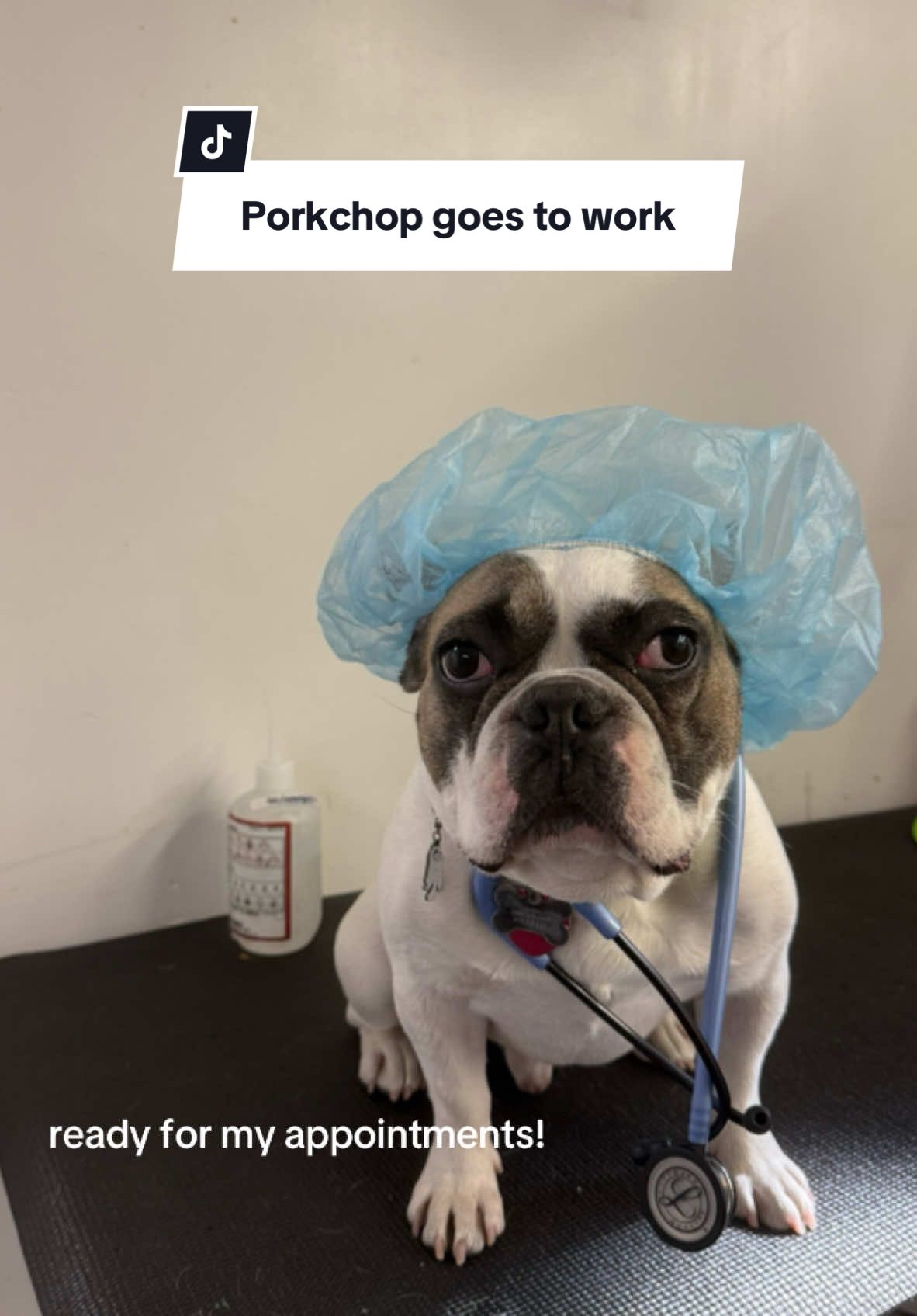 @sfurbanpethospital