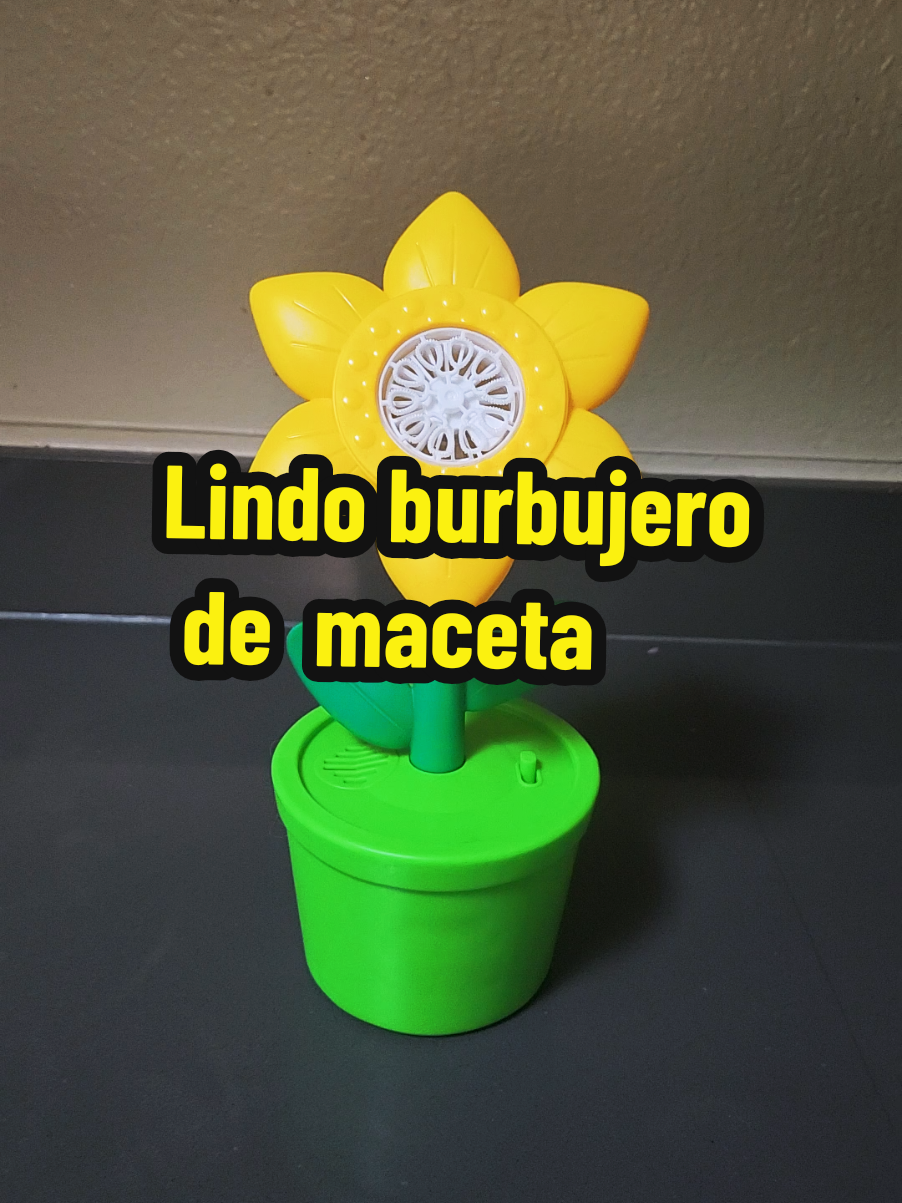 @Evelyn Lorenzo
