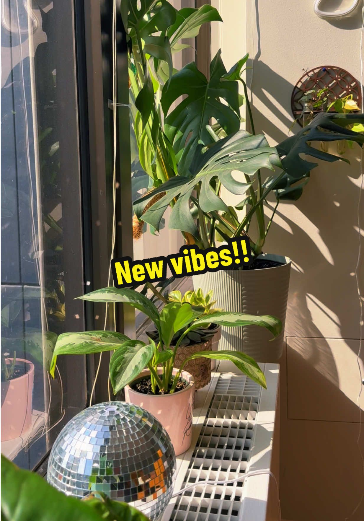 @Plant Girly 🪴
