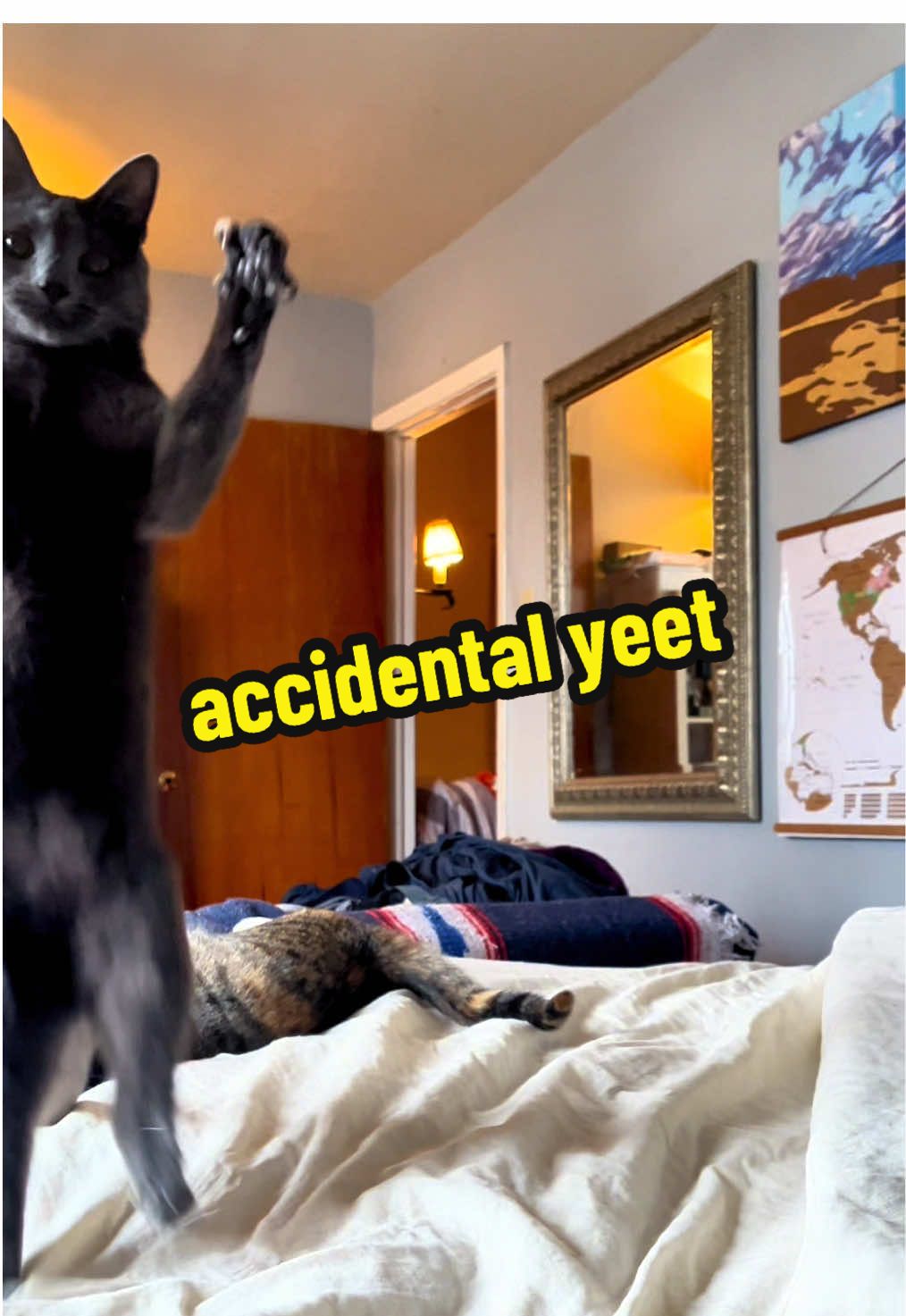 @NermalTCat