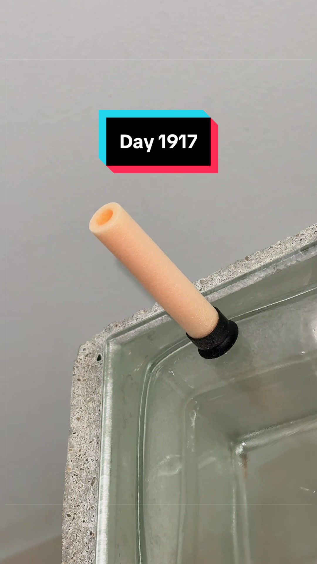 @The Immortal Nerf Dart
