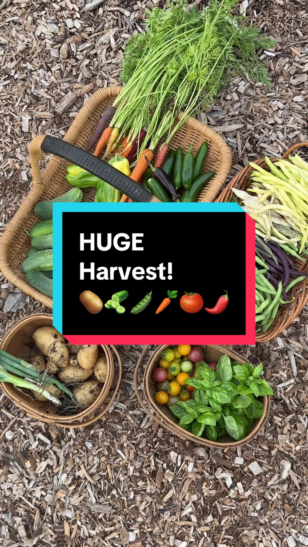 @VeryGoodGardening